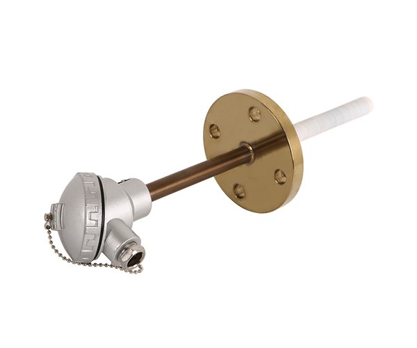 Assembly type thermocoupleand(RTD)